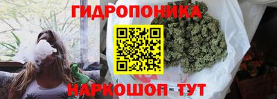 гидропоника Пыть-Ях
